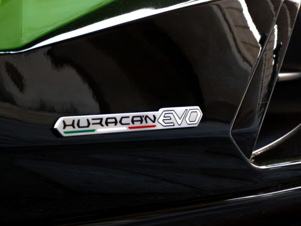 Assetto Corsa EVO Features: Exciting New Free Roam Update