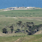 Rocket Lab launch